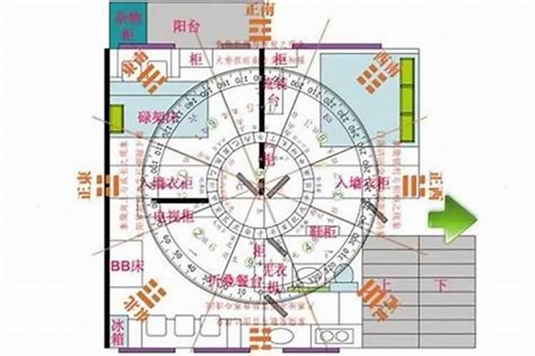 女命1979年属羊人2025年运势