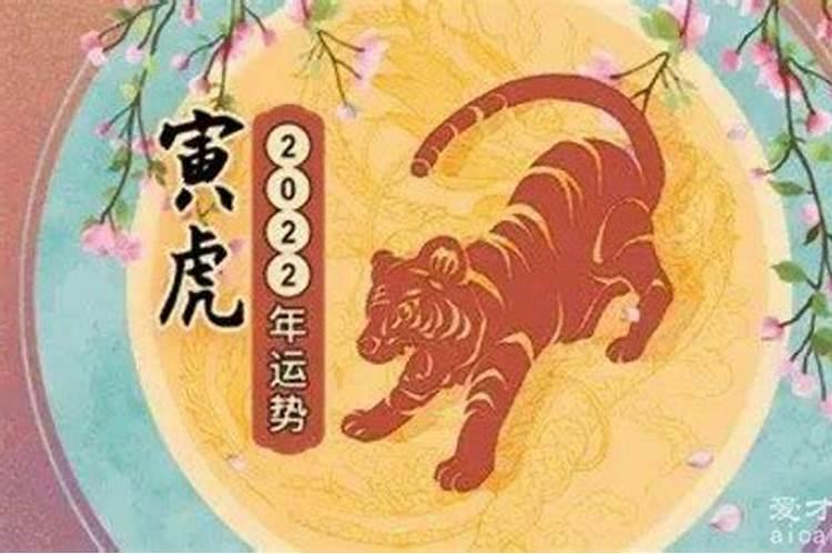 属猪人9一12月份财运如何