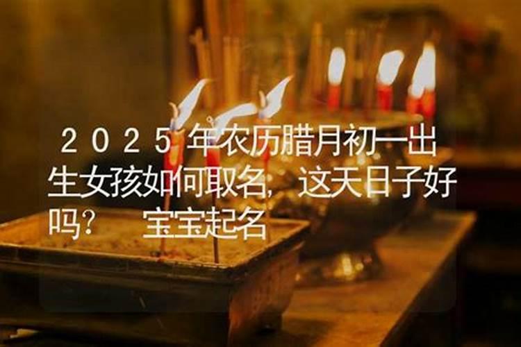 属狗2023年财运怎么样