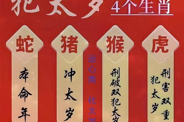 属狗的今年多少岁2021年