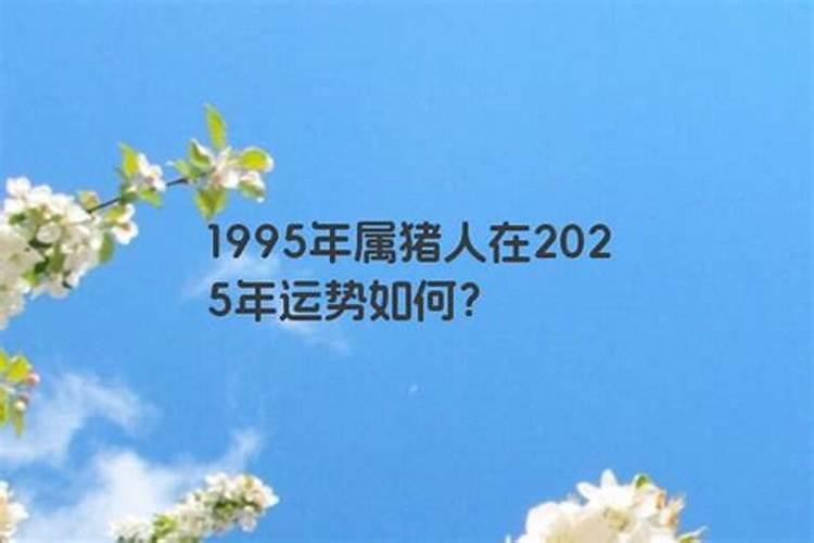 72出生的鼠2023年运势