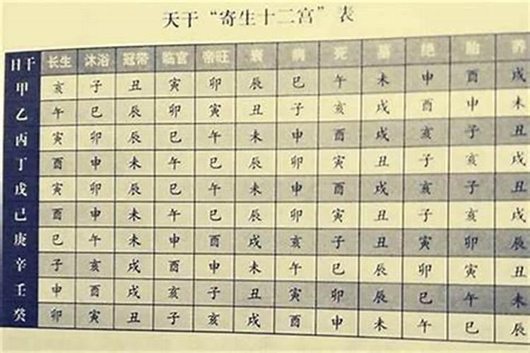 属鸡人在2025年运程