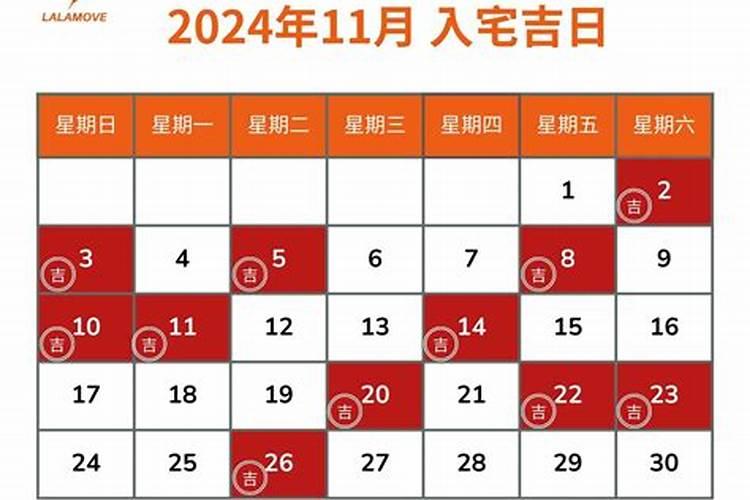 属猪的在2023年的运势怎么样