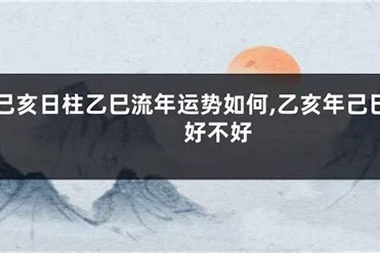 己亥年运势