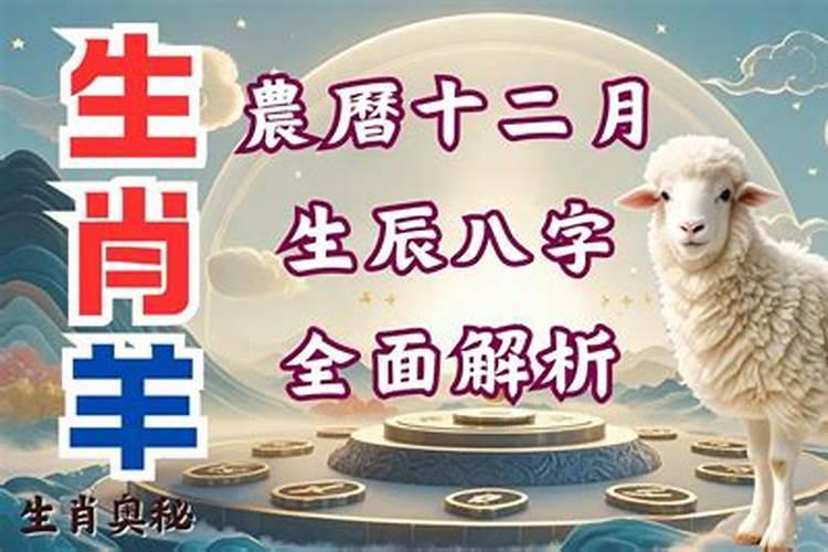 属龙的2024年1月份运势如何