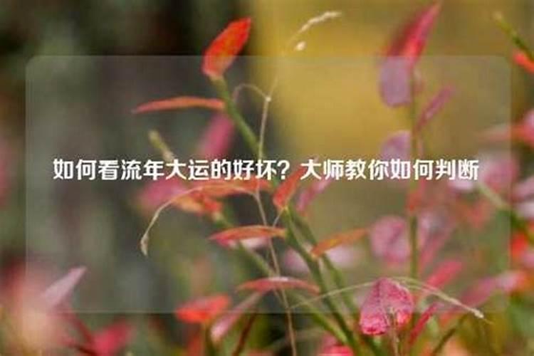 中秋节民俗有哪些