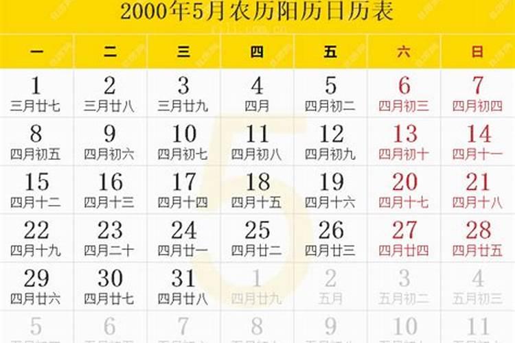 属虎人的2023年运势运程