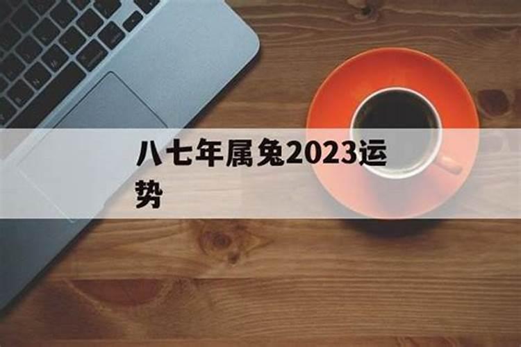 八七年的兔2020运势