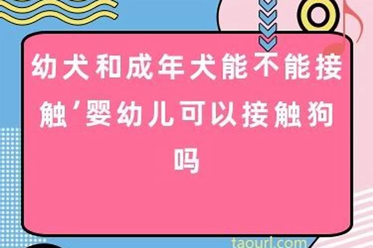 命数测算