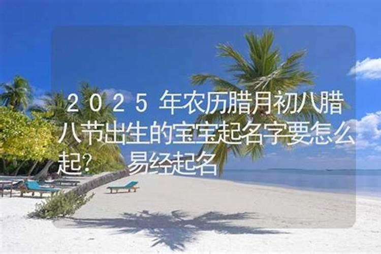 91年属猪2023年运势