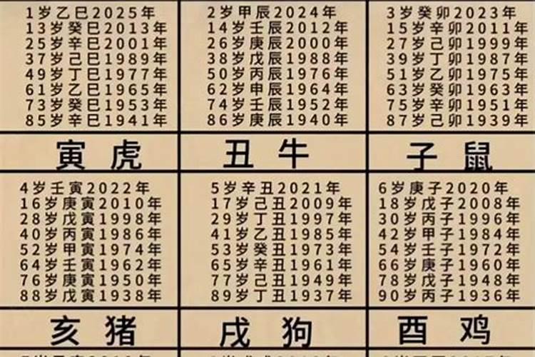 属兔的今年多大