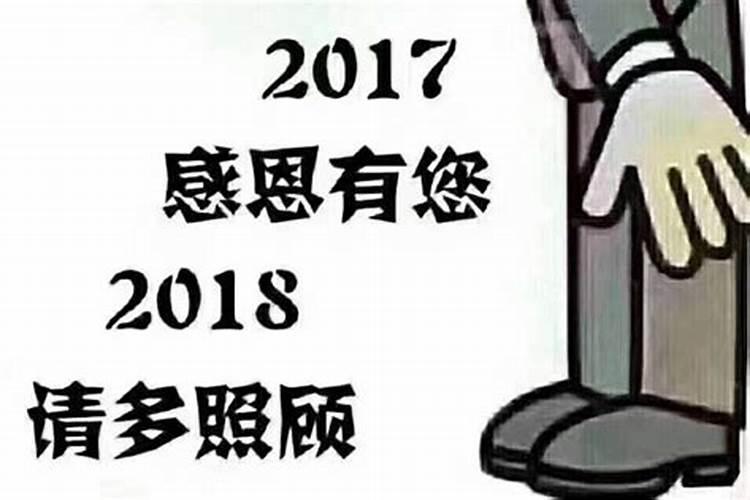 属猪跟属牛的八字合不合婚姻呢怎么看