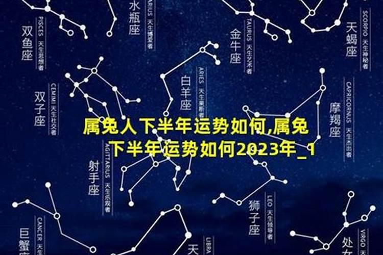 属牛运势2020年运势每月运程