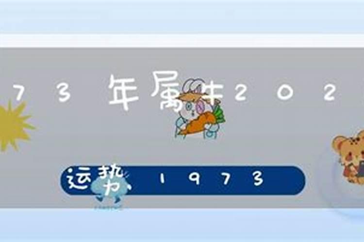 属猪的2023年6月份运势怎么样