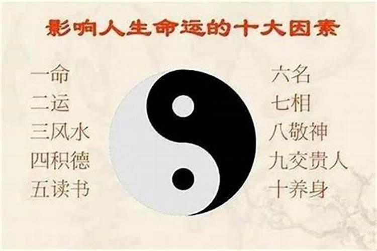 梦见豹子扑向别人我去救他们好不好