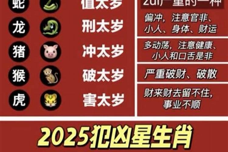 属羊人今年的运势2021