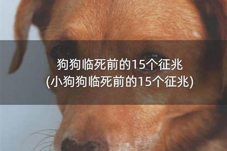 92年的猴11月运势如何看