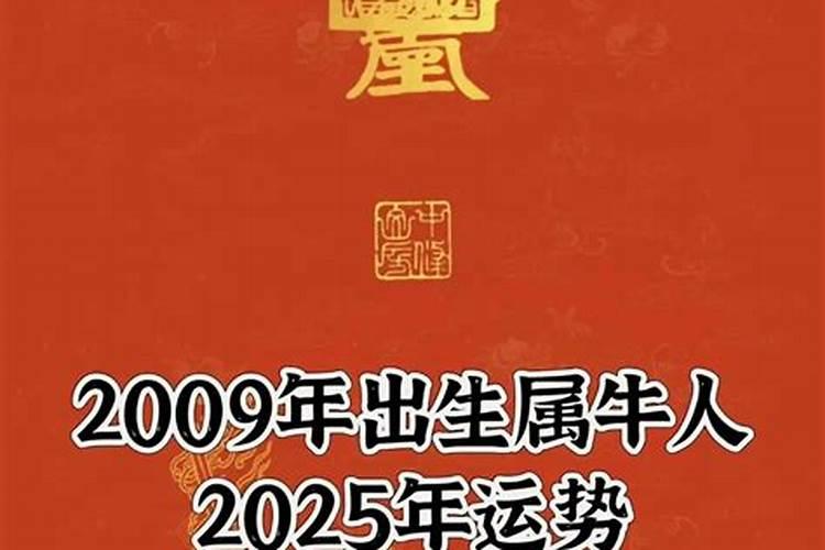 1993年五月四号是什么星座