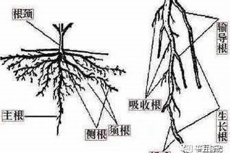 怎么确定正财与偏财的关系