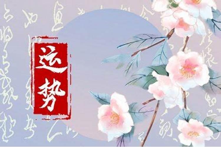 属猪的今年犯太岁吗2022年8月