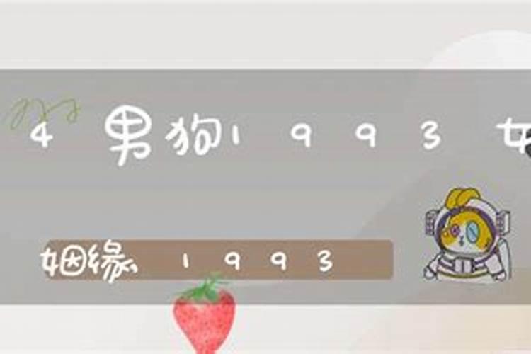 狗与鸡属相合不合