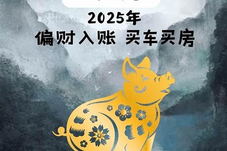 属猪2022年戴什么旺桃花