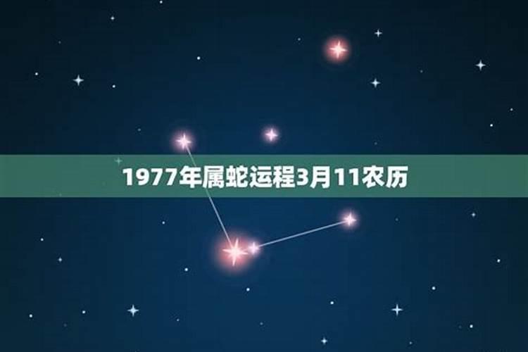 1948鼠2023年运势运程