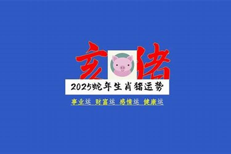 属兔的女孩子跟属什么最配