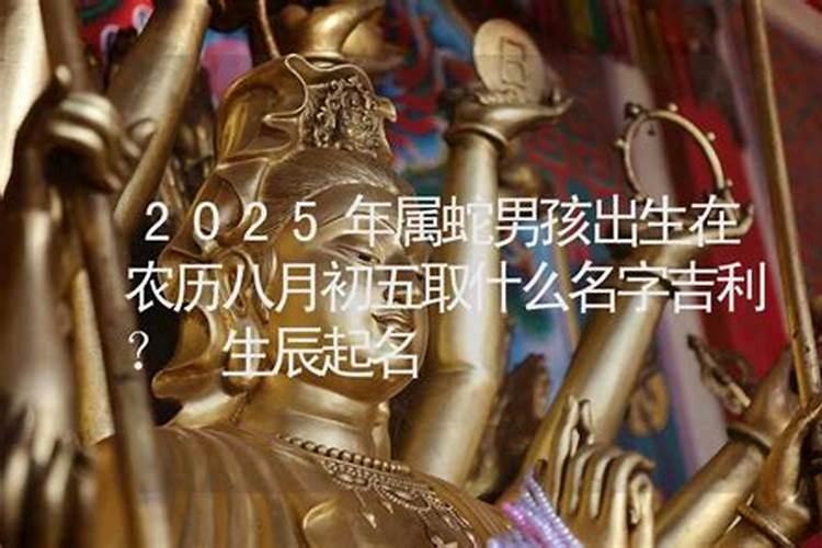 女属狗人2023年运势如何