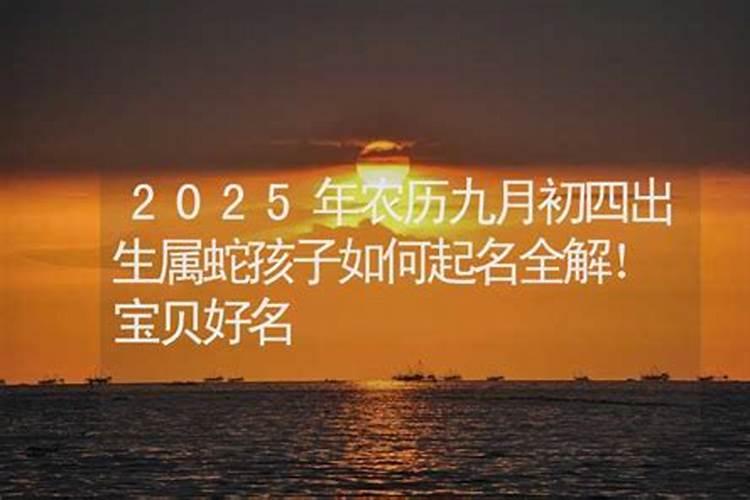 八一年属鸡人今年运气好不好