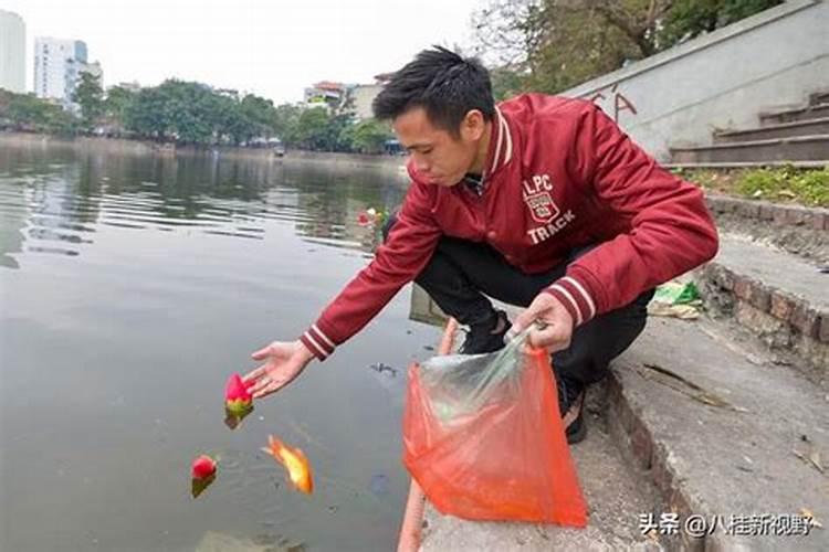 梦见下小雨却没有淋湿屋顶