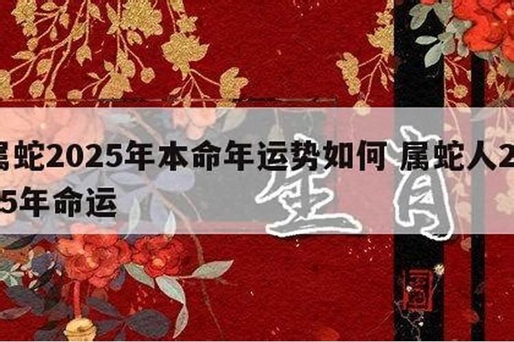 2024年属虎本命年注意事项