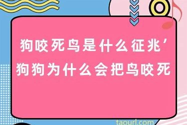 属马与属羊的婚姻合不合