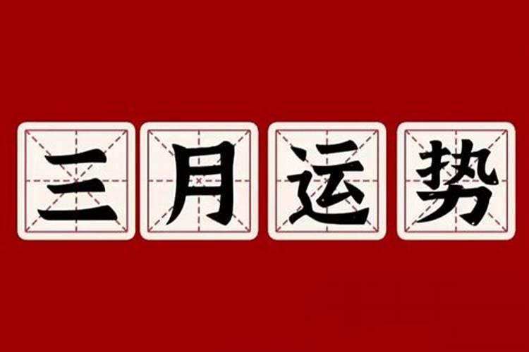 1980年属猴运气好不好