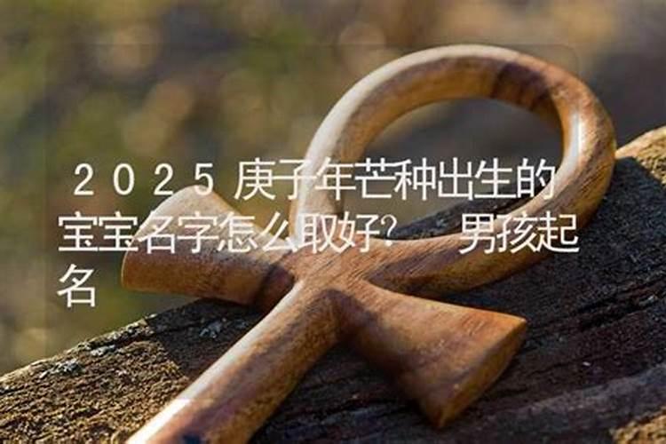 生肖鼠2023年犯太岁怎么化解