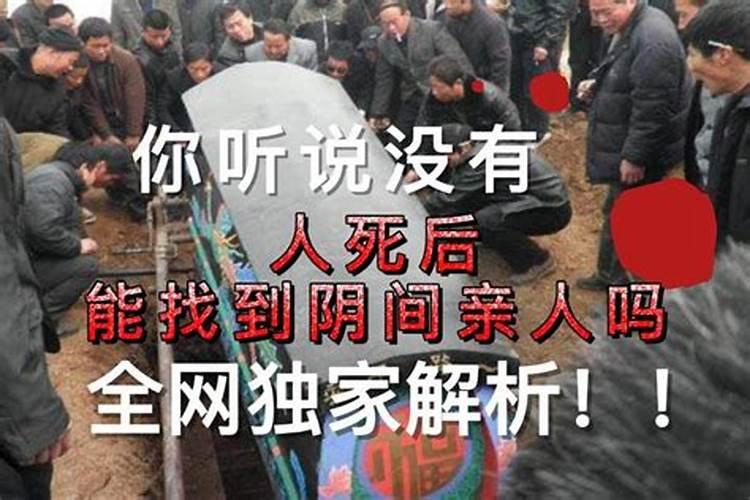 梦见乌龟被乌龟咬死