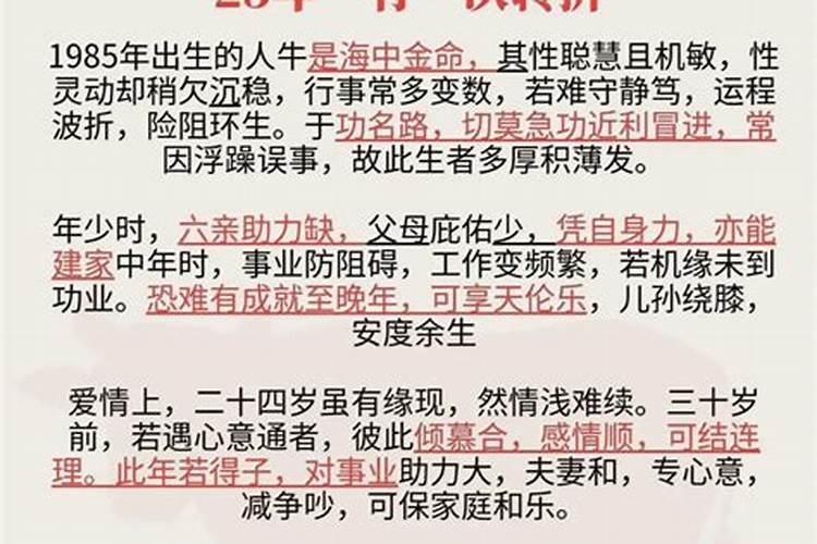 比尔盖茨属什么生肖属