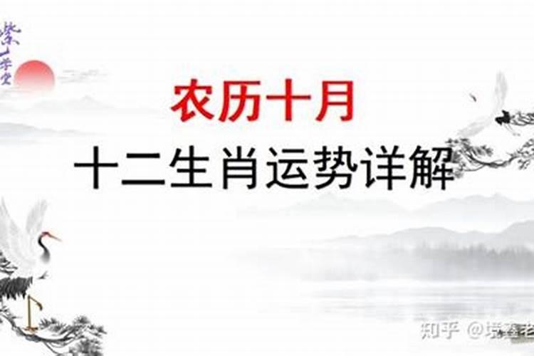 1998年的什么时候本命年过生日