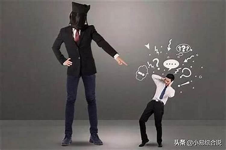 属猪的女人为什么这么坏