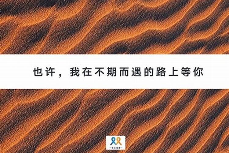 怎么样测八字合不合财