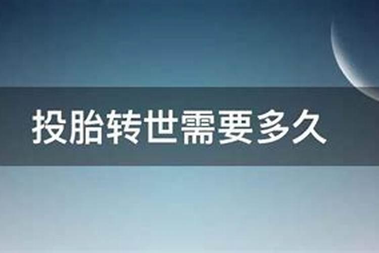 2022年属狗的幸运数字和颜色