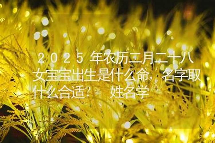 生肖龙今年几岁2023生肖鼠今年多大年龄2023