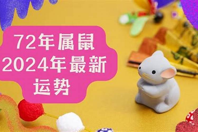 72年属鼠2024年运势及运程女性