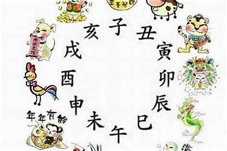 二零零四年属什么生肖