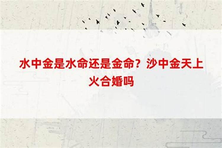 梦见前夫已找到另一半什么意思