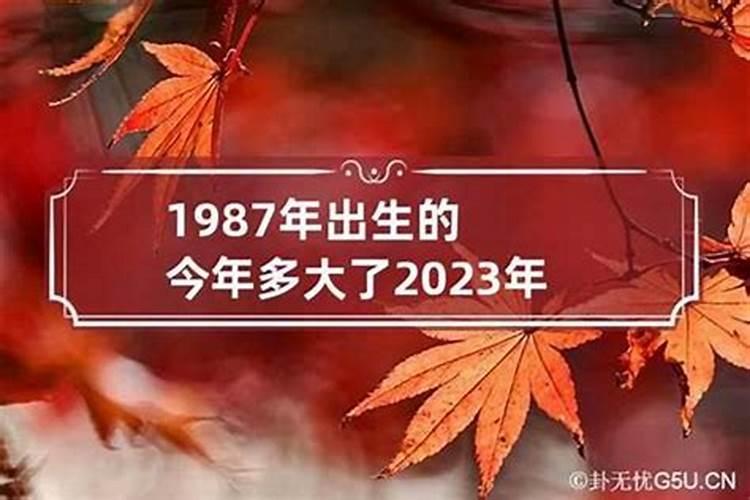 1993鸡女2021年运势