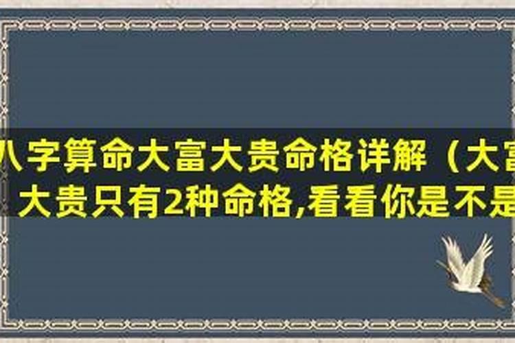 梦见打老鼠打死了都是血