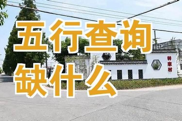 75年兔2023年感情运势如何