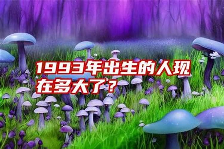 属蛇2019年运程