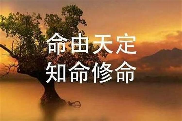 梦到丢孩子了是什么意思